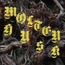 ABEST - Molten Husk (CD)